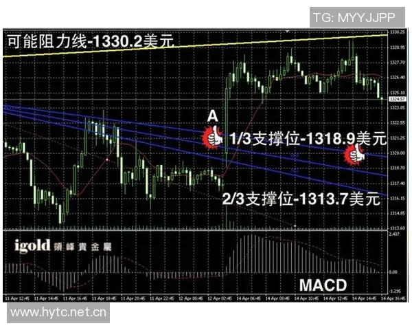 托哈：高标准要求助力反弹展现真实实力超越之前表现