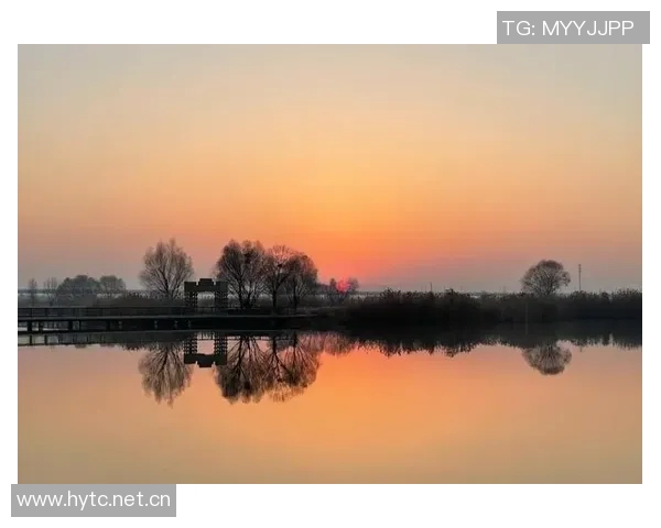 文班深入研究进攻时机力求每次出手都成为最佳选择的秘诀与心得分享